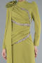 Long Pistachio Green Plus Size Evening Dress ABU4938