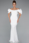 White Stoned Strapless Sleeve Accessories Long Mermaid Evening Gown ABU4509