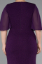 Dark Purple Long Plus Size Evening Dress ABU2651