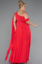 Long Pomegranate Flower Chiffon Formal Plus Size Dress ABU5194