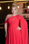 Long Pomegranate Flower Chiffon Formal Plus Size Dress ABU5194