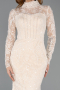 Long Gold Dantelle Plus Size Haute Couture Dress ABU5473