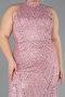 Powder Color Long Beaded Plus Size Evening Dress ABU5063