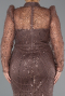 Brown Long Sleeve High Collar Stoned Plus Size Evening Gown ABU4527