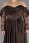 Brown Long Satin Formal Plus Size Dress ABU5261