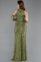 Long Olive Drab Dantelle Mermaid Prom Dress ABU5598