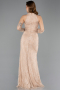 Long Mink Dantelle Mermaid Prom Dress ABU5598