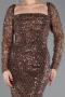 Long Brown Beaded Evening Dress ABU5699