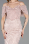 Long Powder Color Dantelle Mermaid Evening Gown ABU5822