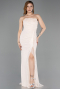 Beige Long Dantelle Evening Dress ABU5603