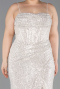 Beige Long Scaly Plus Size Evening Dress ABU3322