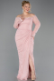 Long Powder Color Dantelle Plus Size Evening Gown ABU5880