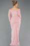 Long Powder Color Dantelle Plus Size Evening Gown ABU5880