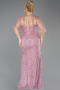 Long Powder Color Beaded Plus Size Evening Gown ABU5800