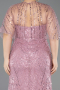 Long Powder Color Beaded Plus Size Evening Gown ABU5800