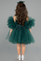 Short Green Girl Dress ABK2572