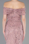 Powder Color Long Beaded Evening Dress ABU5694
