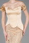 Gold Long Beaded Evening Dress ABU5616