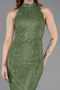 Long Olive Drab Dantelle Evening Dress ABU5987