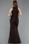 Long Brown Dantelle Evening Dress ABU5987