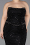Long Black Dantelle Plus Size Evening Gown ABU5994