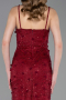 Long Burgundy Dantelle Evening Dress ABU6040