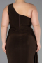 Brown Long Plus Size Evening Dress ABU3132