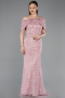 Long Powder Color Dantelle Prom Gown ABU6119