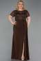 Long Brown Dantelle Plus Size Evening Dress ABU6102