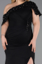 Long Black Plus Size Evening Dress ABU6121