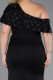 Long Black Plus Size Evening Dress ABU6121