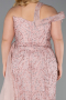 Long Powder Color Plus Size Evening Dress ABU5844