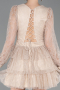 Short Beige Dantelle Cocktail Dress ABK2623
