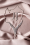 Swarovski Accessory Set DF1004