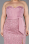 Long Powder Color Beaded Plus Size Evening Dress ABU5989