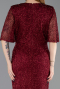 Burgundy Long Plus Size Evening Gown ABU4542