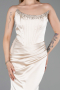Long Satin Mermaid Evening Gown ABU6109