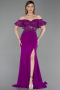 Long Dantelle Evening Dress ABU2261