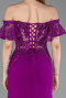 Long Dantelle Evening Dress ABU2261