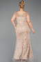 Long Beaded Formal Plus Size Dress ABU5936