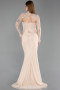 Long Beige Dantelle Evening Dress ABU6207