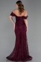 Long Dantelle Evening Dress ABU5973