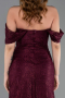 Long Dantelle Evening Dress ABU5973