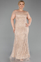 Long Beaded Formal Plus Size Dress ABU5936