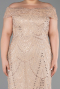 Long Beaded Formal Plus Size Dress ABU5936
