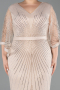 Long Gold Plus Size Evening Gown ABU6301