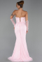 Long Powder Color Dantelle Evening Dress ABU6355