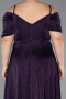 Long Purple Plus Size Evening Dress ABU6333