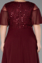 Long Burgundy Chiffon Plus Size Evening Dress ABU6340