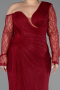 Long Burgundy Dantelle Plus Size Evening Gown ABU6339